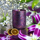 Glitter | Limited Edition Cosmos Blood Orange Scented Soy Candle - Angel Lights Co