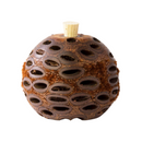 Aromapoddiffuser_2048x2048